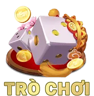 Thanh toán nhanh rr88